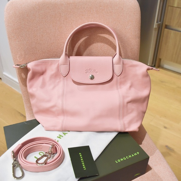 small pink longchamp bag